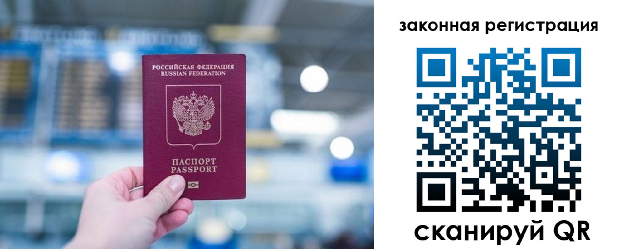 прописка поиск в Курчатове